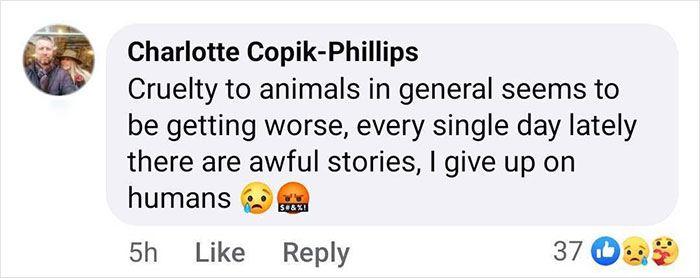 Comment expressing concern for animal cruelty, responding to the rescue of a baby gorilla at Istanbul Airport in Turkey.