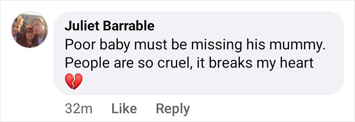 Comment on a post about a baby gorilla rescue at Istanbul airport, expressing sympathy and concern.