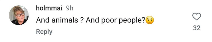 Comment questioning celebrity focus during LA wildfires, mentioning animals and poor people.