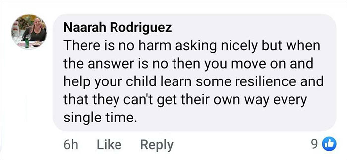 Facebook comment on seat swap refusal, discussing resilience and parenting during a flight.