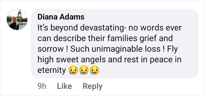 Comment expressing sorrow for youngest victims of D.C. crash, mentioning grief and loss with crying emojis.