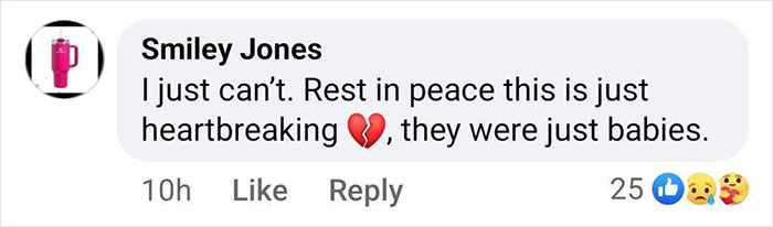 Emotional comment on Facebook post about young child ice skating victims in D.C. crash.