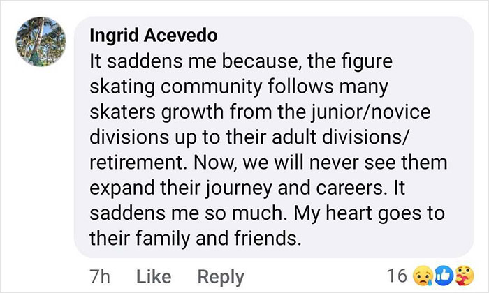 Comment expressing sadness for child skating duo, victims of D.C. crash, mentioning the skating community's support.