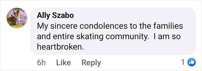 Comment expressing condolences to the ice skating community and families after crash in D.C.