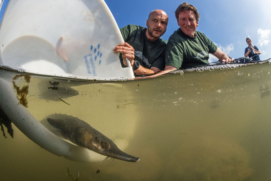 Wildlife photographers capturing a fish underwater at the 2024 European Photographer of the Year contest.