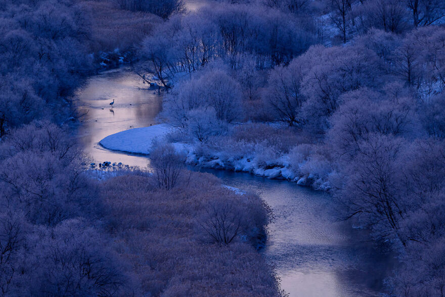 Award-winning wildlife photo of a serene river at dusk with frost-covered trees, showcasing nature's beauty.