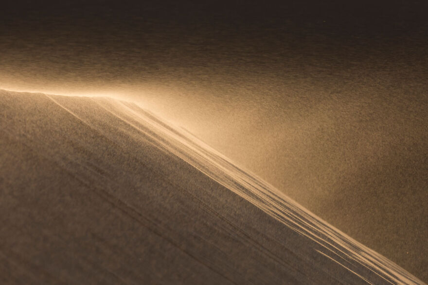 Golden sand dune captured in award-winning wildlife photo, highlighting the interplay of light and shadow.