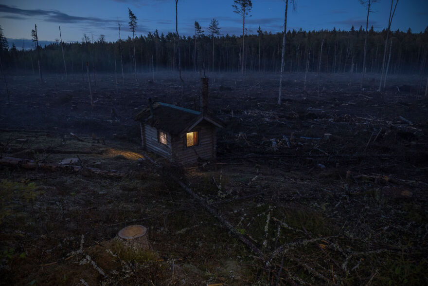 Remote cabin lit at night in a misty forest clearing, featured in award-winning wildlife photography contest.