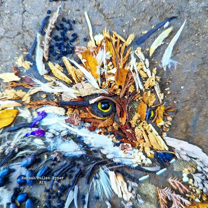 Earth art animal portrait made with natural materials, featuring vibrant feathers and leaves forming a fox.