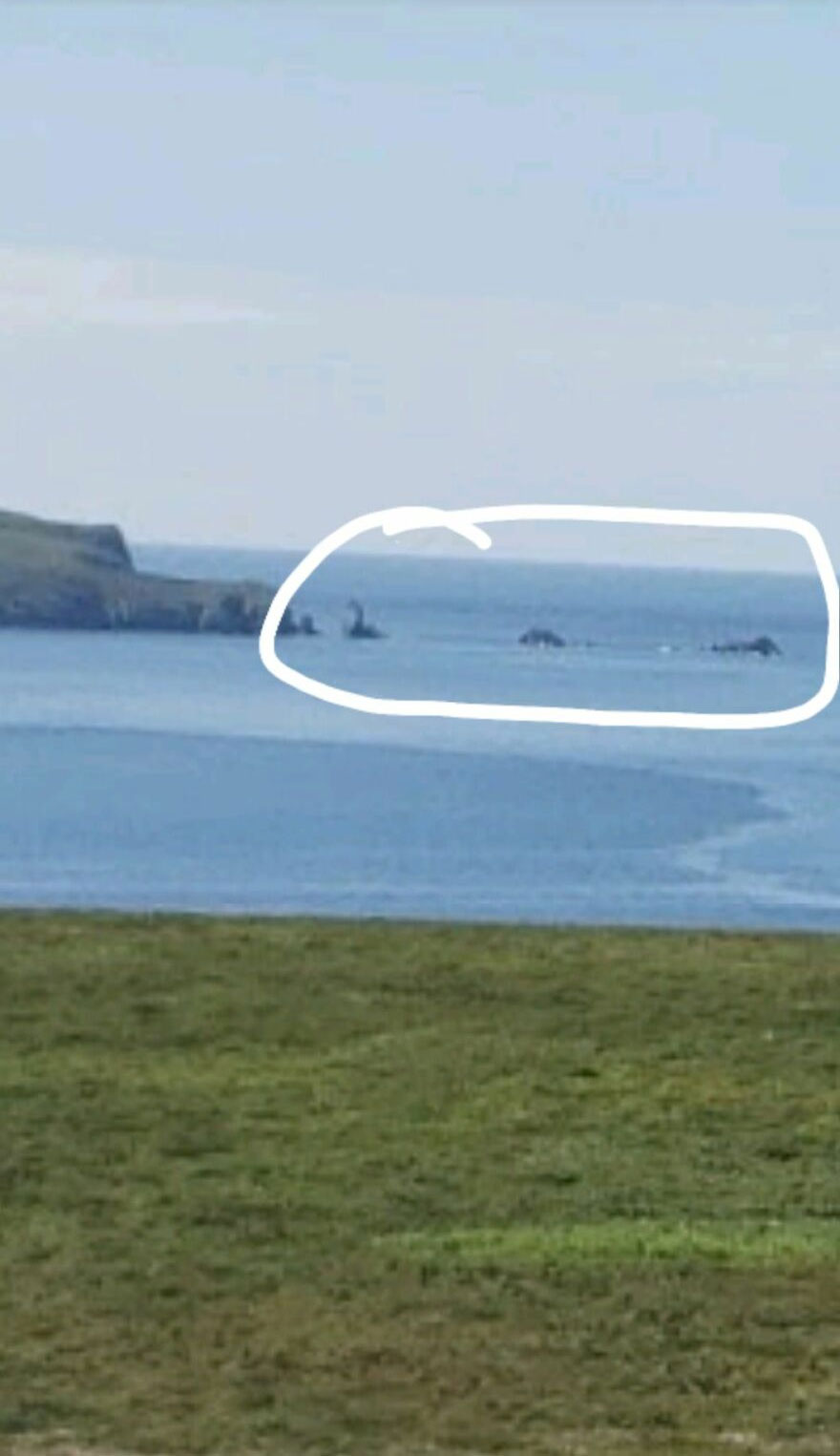 Unusual object circled in coastline view captured by Google Earth.