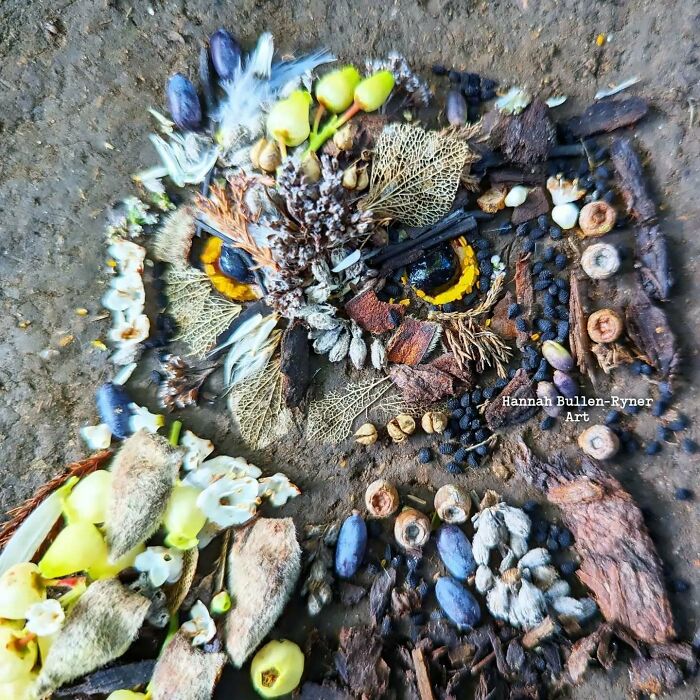 Earth art owl portrait made with natural materials like leaves, seeds, and bark, showcasing detailed animal artistry.