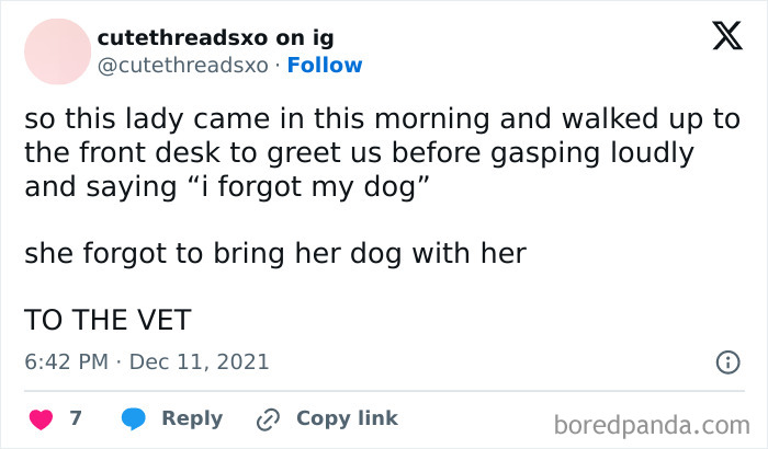 Funny post about a mom forgetting her dog at the vet reaction.