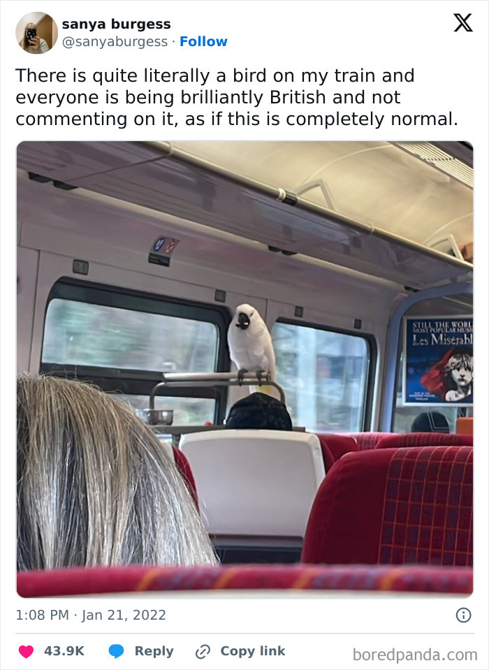 Parrot perched on a subway seat, ignored by fellow train passengers, creating a funny, unexpected scene.