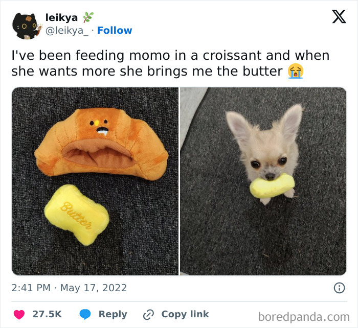 A dog shows kindness by bringing a butter toy next to a croissant toy, conveying an adorable moment and gesture.