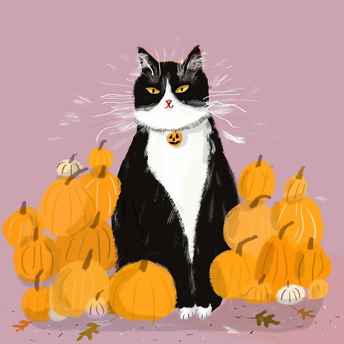 Cozy illustration of a black and white cat with pumpkins, perfect art for cat lovers.