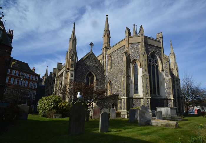 Gothic-style church exterior with tombstones in the foreground and a seagull perched atop.