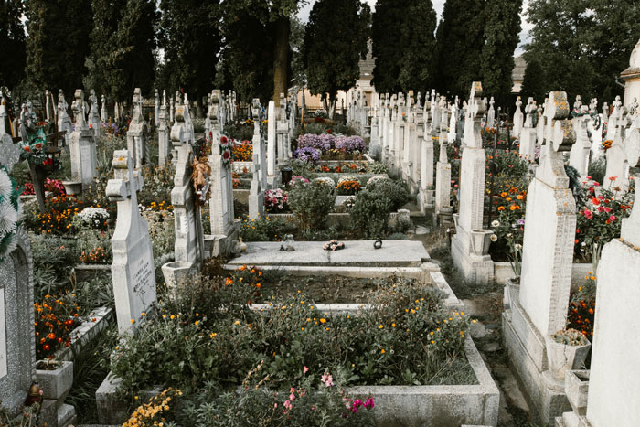 Graveyard scene with tombstones and flowers, reflecting untold family stories.