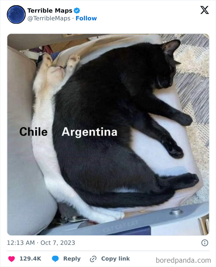 Two cats labeled as Chile and Argentina shape a map that changes perspective.