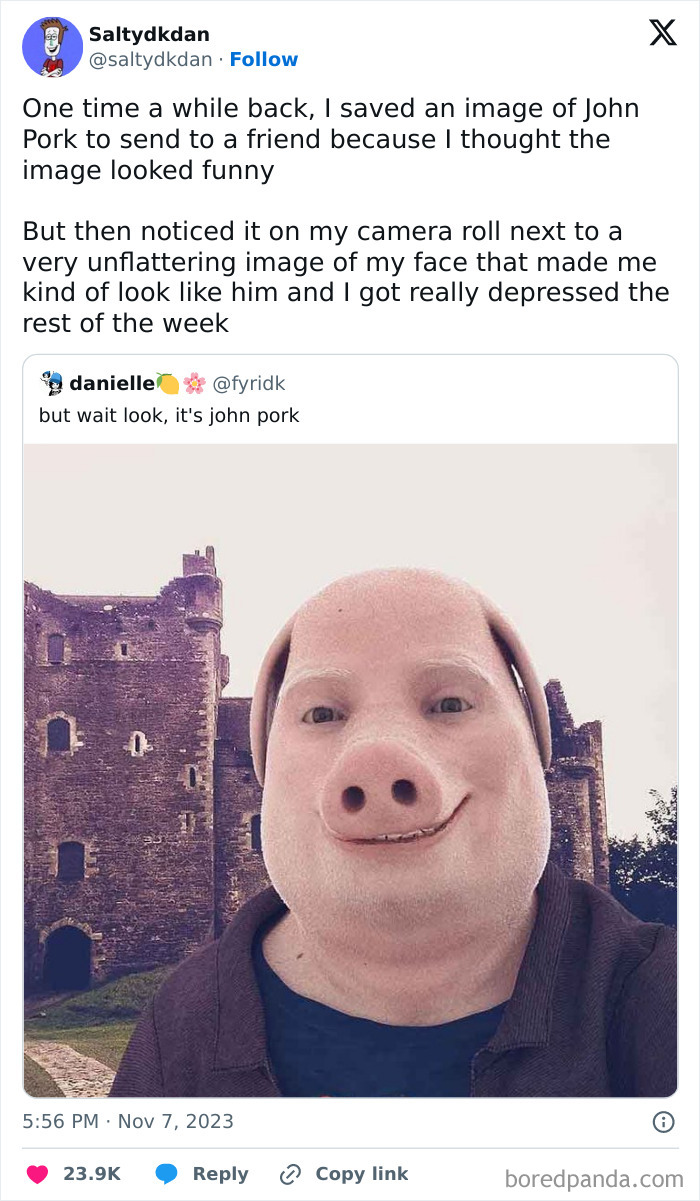 Person wearing a pig mask in front of a castle, part of a funny camera roll finds post.