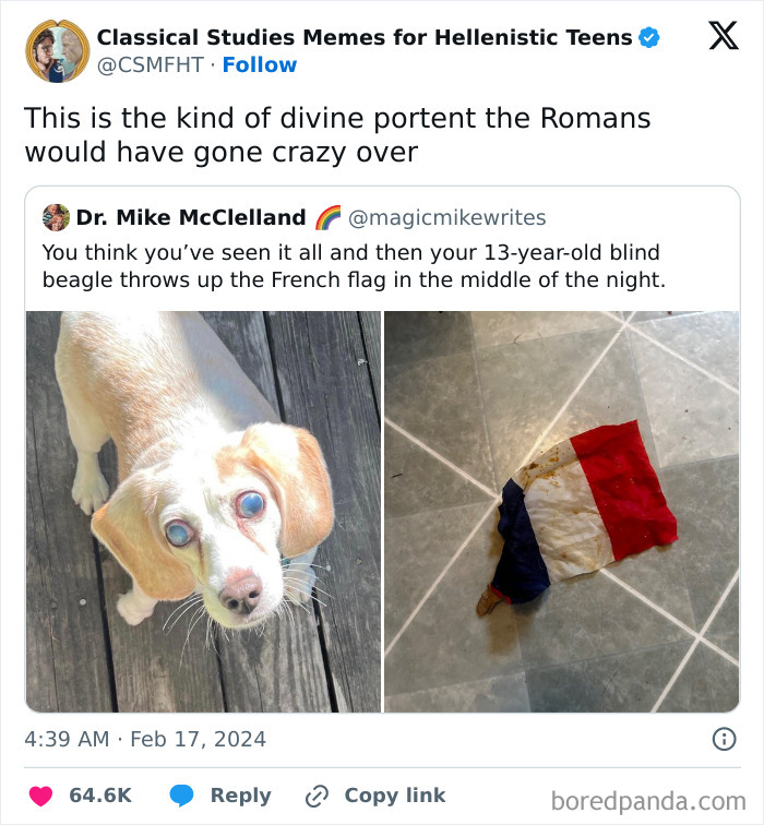 Blind beagle vomits French flag, humorously explained in historical meme format.