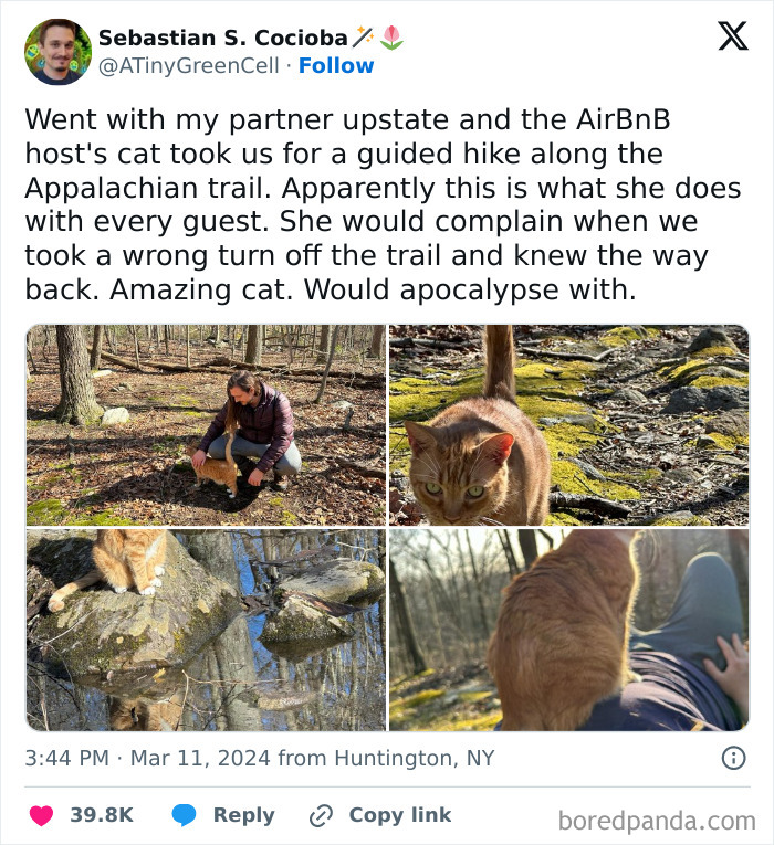 Guided hike by a cat on the Appalachian trail; funny, odd moments captured with people and feline companion.