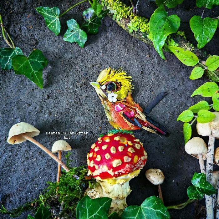 Earth art depicting a detailed bird portrait using natural materials, surrounded by mushrooms and leaves.