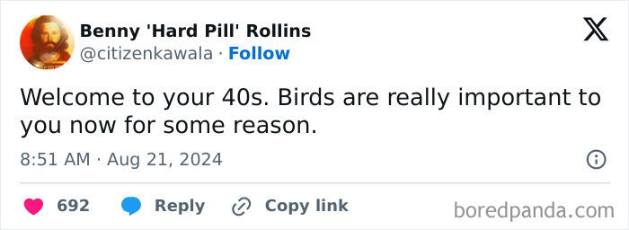 Tweet about being in your 40s, mentioning unexpected importance of birds.