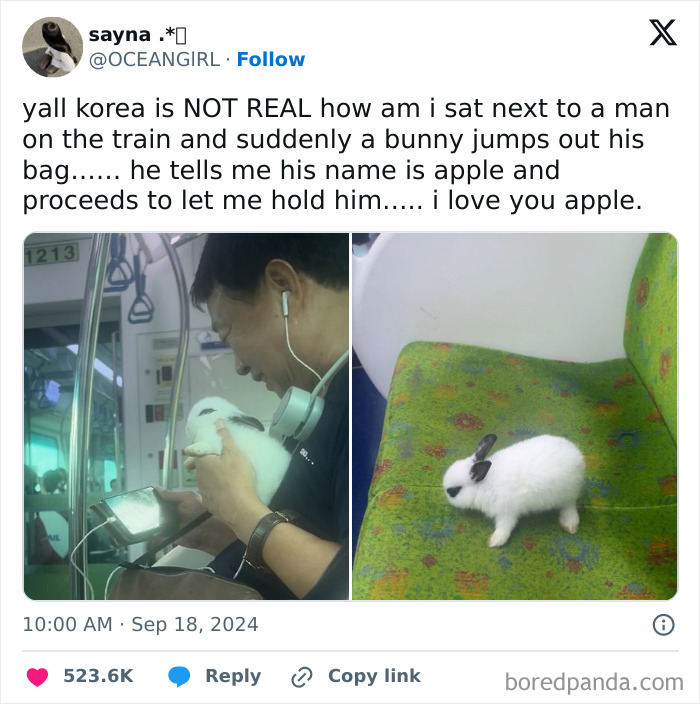 Man on train holding a white bunny, with another image showing the bunny on a patterned seat; funny train subway passengers.