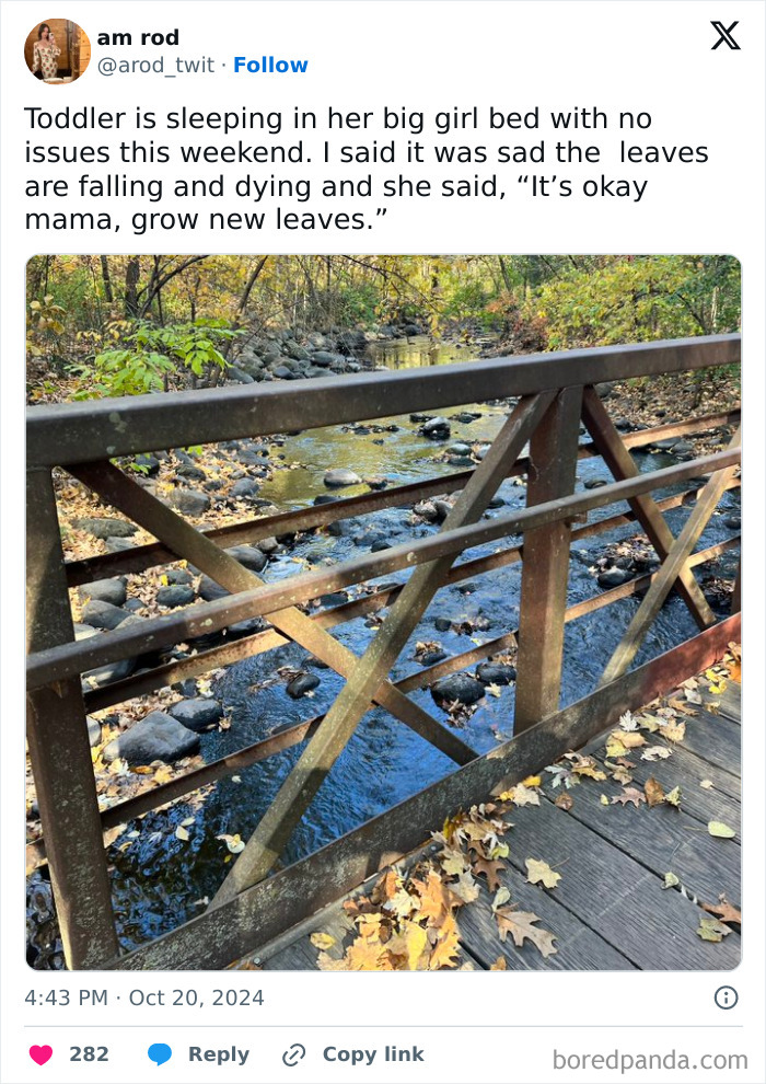 A wooden bridge over a stream with fallen leaves, capturing a heartwarming moment involving toddlers' sayings.