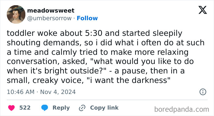 Tweet about a toddler's funny response to early morning, preferring darkness over daylight humorously.