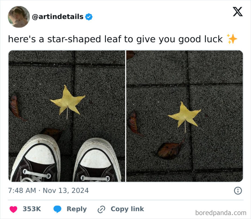 Star-shaped leaf on pavement beside sneakers, resembling other objects.