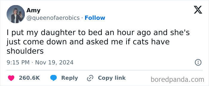 Funny tweet capturing a kid's hilarious question about cat anatomy.