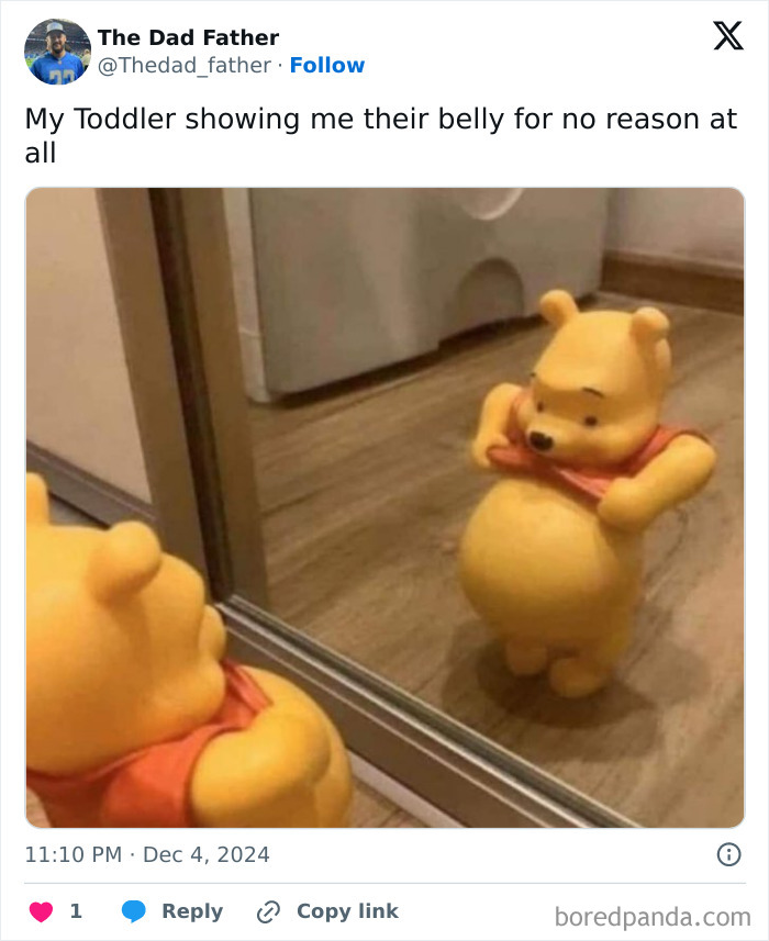 A funny dad meme featuring a toy bear with an exposed belly, amusingly looking in a mirror.