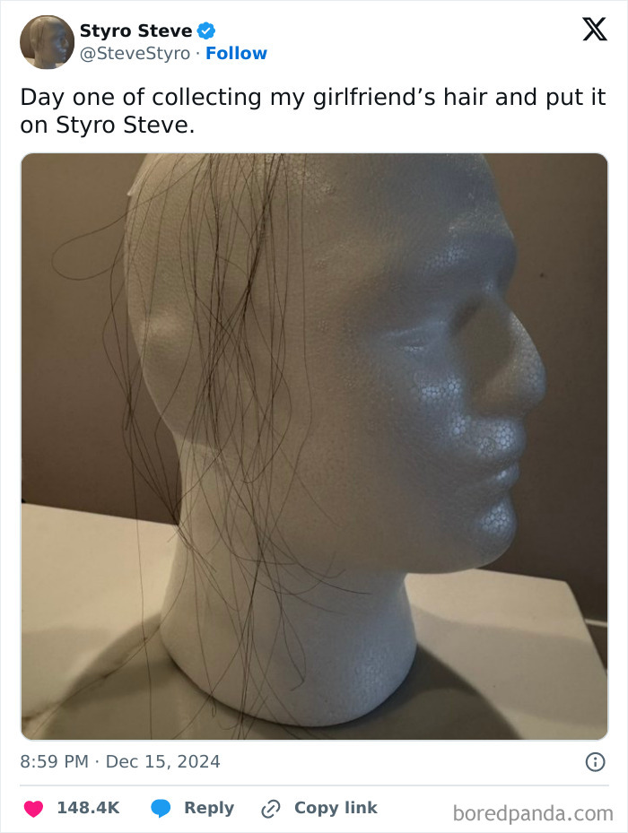 Styrofoam head with girlfriend's hair strands draped over it from an absurd and humorous photo collection.