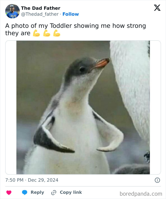 Penguin mimicking a toddler flexing muscles, capturing the daily joys and struggles of a dad.