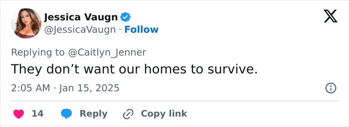 Tweet reply to Caitlyn Jenner about LA wildfires, expressing concern for homes.