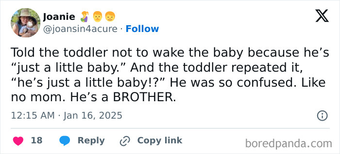 Humorous toddler comment about a baby brother being confused as "just a little baby".