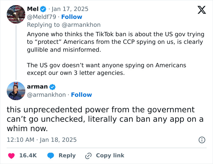 Tweets discussing TikTok secrets and government power in online debate on app bans.