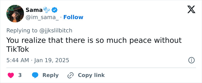 Tweet by a user discussing peace experienced without TikTok amidst a US ban.