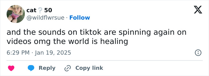 "Hasn’t Even Been A Day": People In Disbelief As TikTok Is Back Online