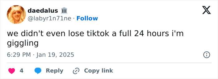 "Hasn’t Even Been A Day": People In Disbelief As TikTok Is Back Online