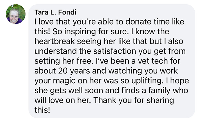 Comment from Tara praising a pet groomer helping neglected animals for free.