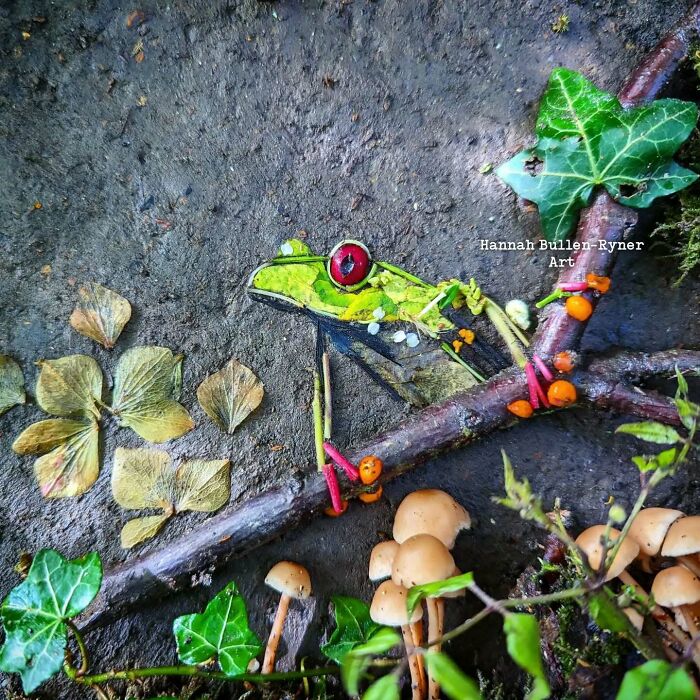 Animal portrait of a frog crafted from leaves and twigs, showcasing detailed earth art in a natural setting.