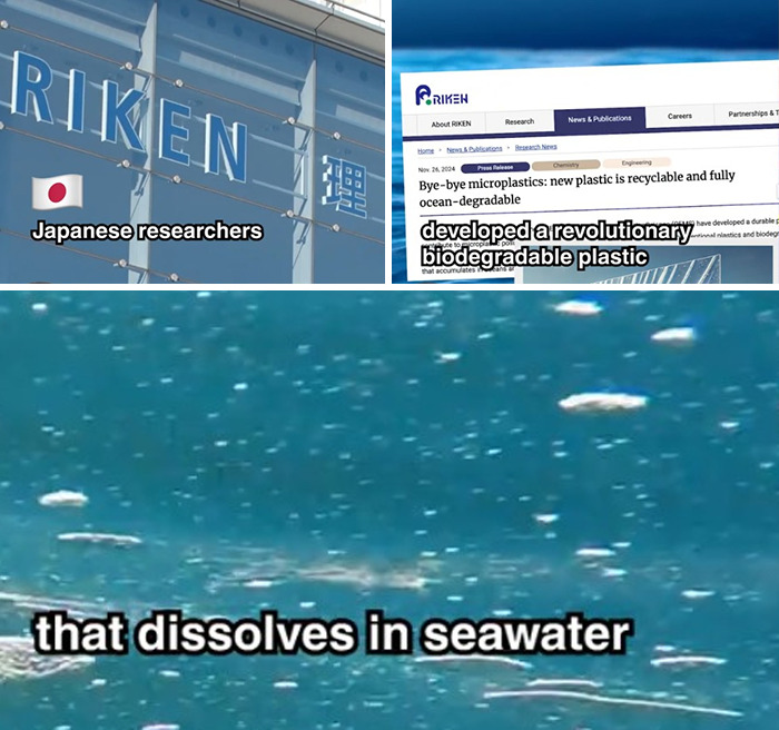 Japanese Researchers Developed A Revolutionary Biodegradable Plastic That Dissolves In Seawater And Doesn't Generate Microplastics