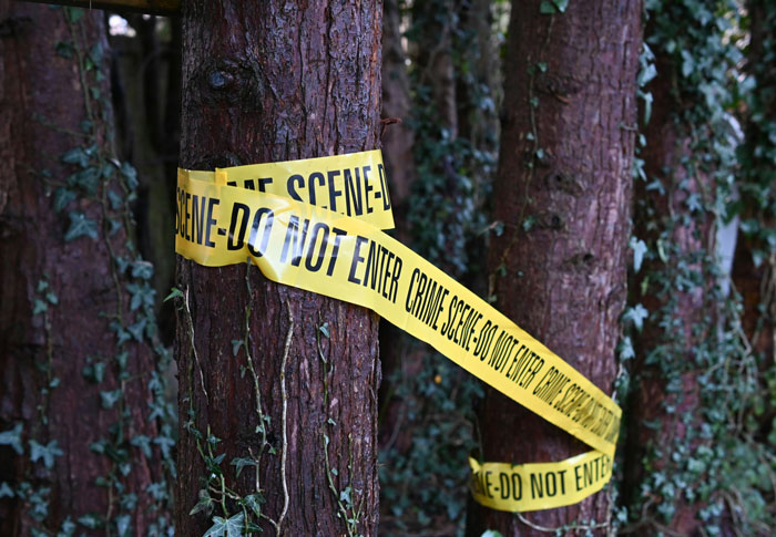 Crime scene tape around trees, depicting unsolved true crime cold cases.