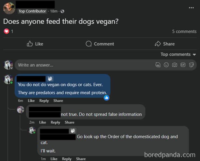 Facebook post exchange on feeding dogs vegan; features a debated comment thread.