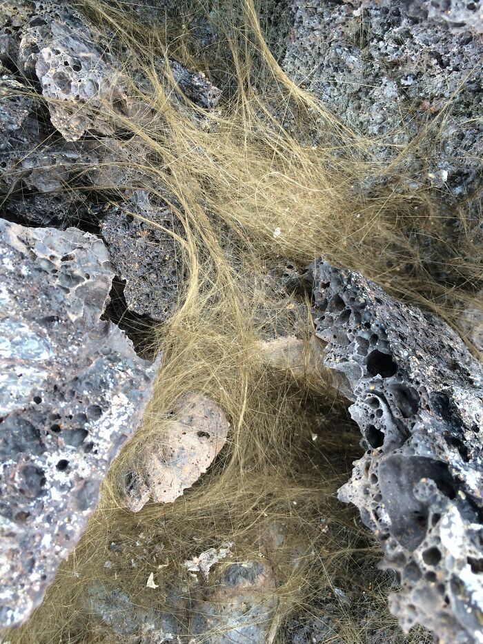 Strange natural phenomena: golden strands known as Pele's hair amidst volcanic rocks.