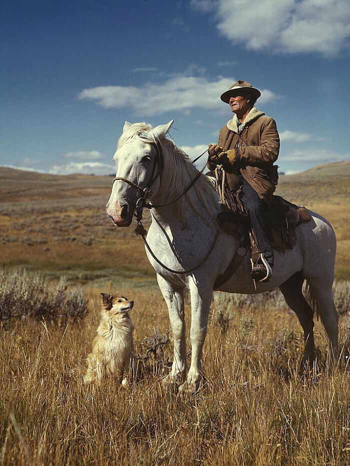 Man in 1940 on horseback with dog in a field under blue sky.