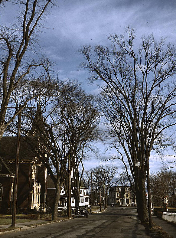 1940 color photo depicting a quiet street lined with bare trees and classic architecture under a cloudy sky.