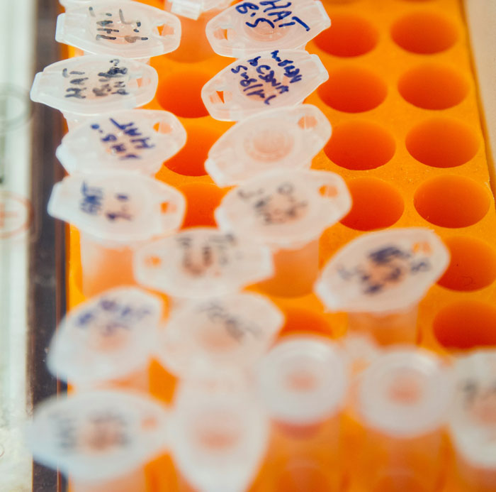 Orange tray with labeled test tubes, symbolizing unspoken family secrets.